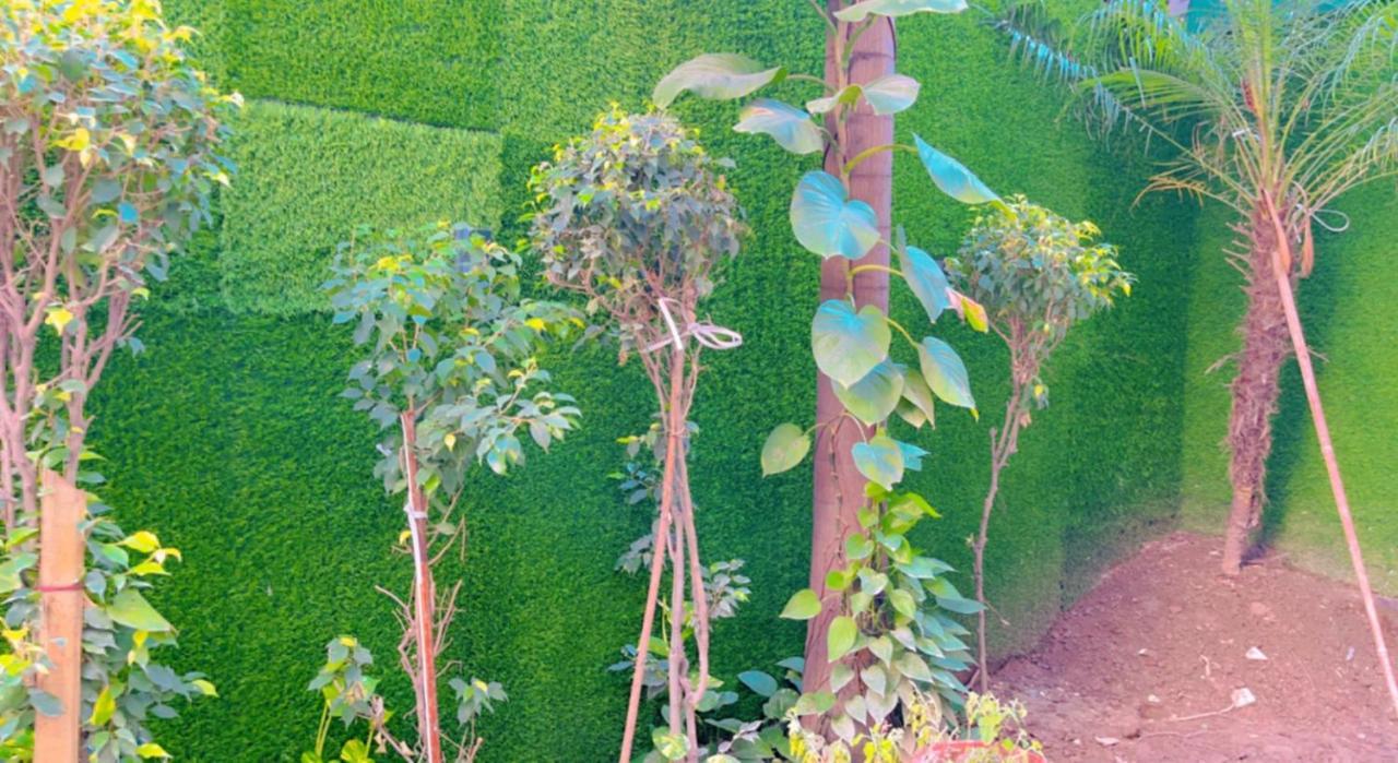City View With Garden -5 Mins Walk From Golden Temple أمريتسار المظهر الخارجي الصورة